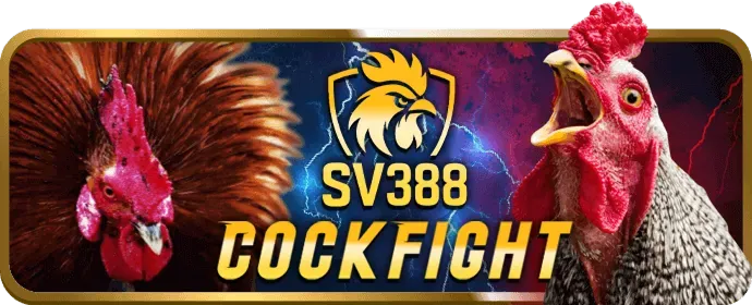 Mã Hóa SSL Winwin01
